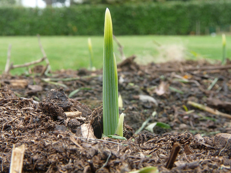 土壤養(yǎng)分檢測儀讓施肥更科學