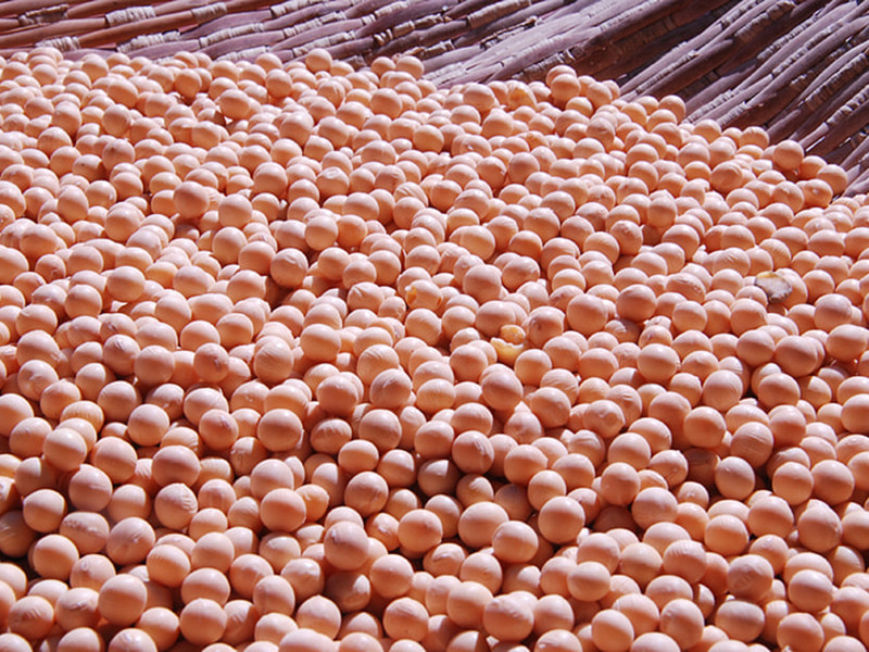 大豆黃曲霉素怎么測？