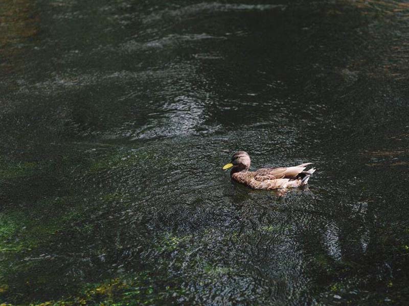 水質(zhì)重金屬檢測設(shè)備哪種好 水質(zhì)重金屬檢測設(shè)備哪種好