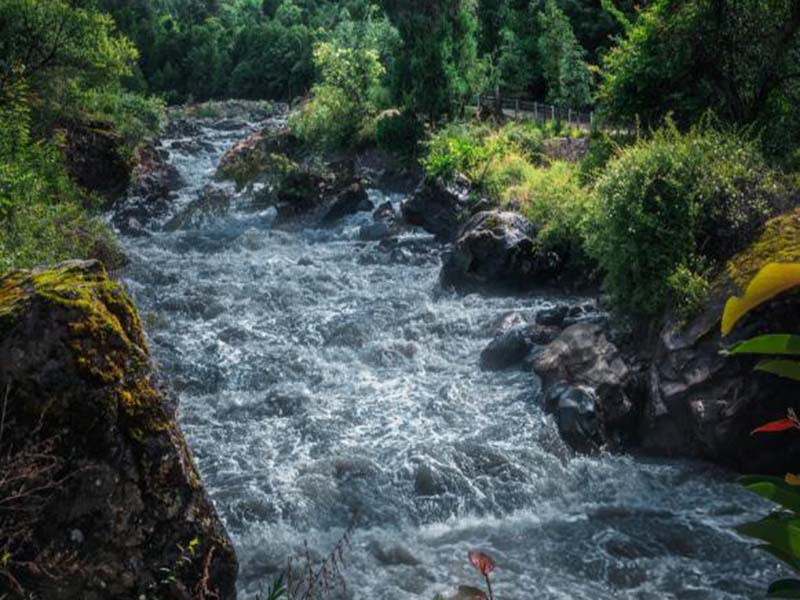 【問答】酶底物法檢測水質(zhì)總大腸菌群時測定結(jié)果如何計數(shù)