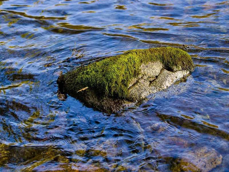 氨氮檢測方法如何選擇