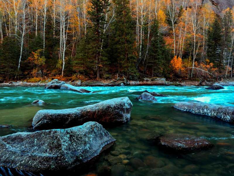 氨氮測(cè)定儀基本工作原理(氨氮測(cè)定儀類(lèi)型)