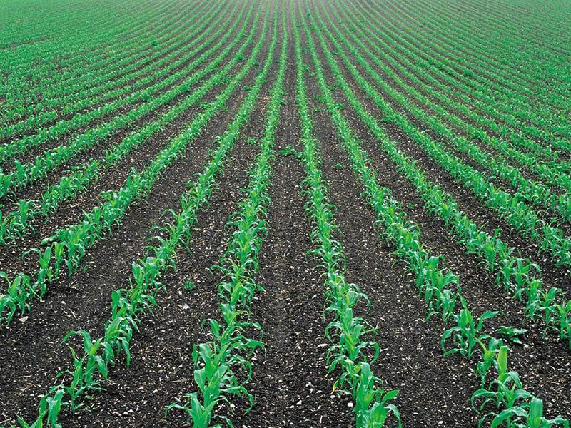 土壤墑情監(jiān)測儀，為實現(xiàn)節(jié)水增糧奠定基礎(chǔ)