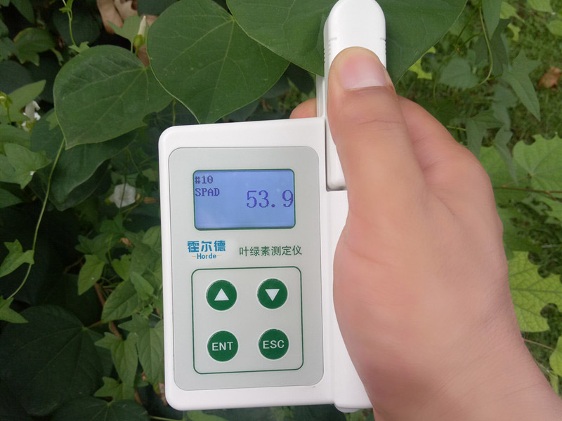 怎樣檢測活體植物的葉綠素含量 怎樣檢測活體植物的葉綠素含量